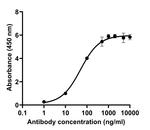 SARS-CoV-2 Spike Protein (RBD) Antibody in ELISA (ELISA)