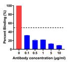 SARS-CoV-2 Spike Protein (RBD) Antibody