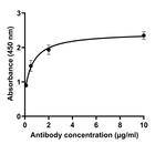 SARS-CoV-2 Spike Protein (RBD) Antibody in ELISA (ELISA)