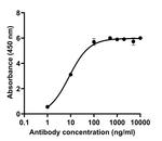 SARS-CoV-2 Spike Protein (RBD) Antibody in ELISA (ELISA)