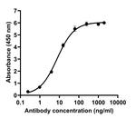 SARS-CoV-2 Spike Protein (RBD) Chimeric Antibody in ELISA (ELISA)