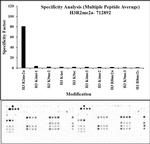 H3R2me2a Antibody in Peptide array (ARRAY)