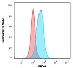 Thymidylate Synthase Antibody in Flow Cytometry (Flow)