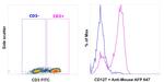 CD127 Antibody