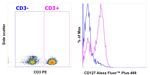 CD127 Antibody