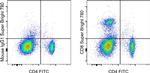 CD8a Antibody in Flow Cytometry (Flow)