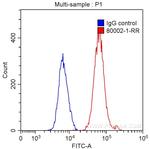 TDP-43 Antibody in Flow Cytometry (Flow)