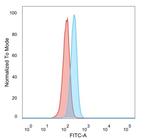 CBFB/PEBP2beta Antibody in Flow Cytometry (Flow)