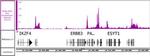 RNA Pol II Antibody in ChIP-Sequencing (ChIP-Seq)