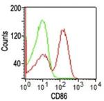 CD86 (Dendritic Cells Maturation Marker) Antibody in Flow Cytometry (Flow)