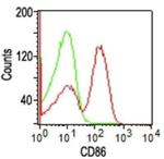 CD86 (Dendritic Cells Maturation Marker) Antibody in Flow Cytometry (Flow)