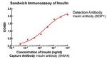 Insulin Antibody in ELISA (ELISA)