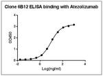 Atezolizumab Antibody in ELISA (ELISA)