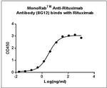 Obinutuzumab Antibody in ELISA (ELISA)