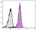 CD31 Antibody in Flow Cytometry (Flow)