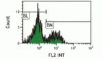 KLRG1 Antibody in Flow Cytometry (Flow)