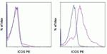 ICOS Antibody in Flow Cytometry (Flow)