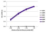 Mouse Lambda Light Chain Secondary Antibody in ELISA (ELISA)