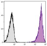 CD86 Antibody in Flow Cytometry (Flow)