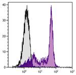 Rat Kappa Light Chain Secondary Antibody in Flow Cytometry (Flow)