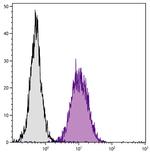 H-2Db Antibody in Flow Cytometry (Flow)