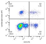 Human Lambda Light Chain Secondary Antibody in Flow Cytometry (Flow)