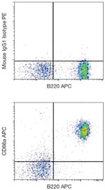 CEACAM1 Antibody in Flow Cytometry (Flow)