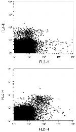 CD314 (NKG2D) Antibody in Flow Cytometry (Flow)