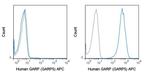 GARP Antibody in Flow Cytometry (Flow)