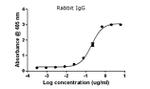 Rabbit IgG (H+L) Secondary Antibody in ELISA (ELISA)