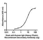 Human IgA (Heavy chain) Secondary Antibody in ELISA (ELISA)