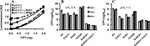 Carboxypeptidase Y Antibody in ELISA (ELISA)