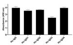 Human IgG Fab Secondary Antibody