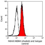 HdmX/MDM4 Antibody in Flow Cytometry (Flow)