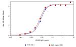 SARS-CoV Spike RBD Antibody in ELISA (ELISA)