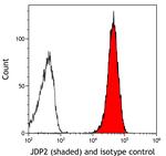 JDP2 Antibody in Flow Cytometry (Flow)