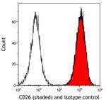 DPP4/CD26 Antibody in Flow Cytometry (Flow)