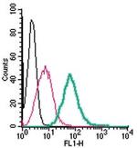 Adenosine A2A Receptor (extracellular) Antibody in Flow Cytometry (Flow)