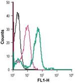 Angiotensin II Receptor Type-1 (extracellular) Antibody in Flow Cytometry (Flow)