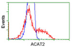 ACAT2 Antibody in Flow Cytometry (Flow)