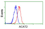 ACAT2 Antibody in Flow Cytometry (Flow)