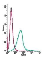 TRPV2 (VRL1) (extracellular) Antibody in Flow Cytometry (Flow)