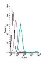 TRPM6 (extracellular) Antibody in Flow Cytometry (Flow)