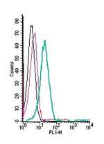 TRPM6 (extracellular) Antibody in Flow Cytometry (Flow)