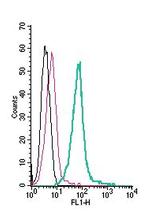 TRPM6 (extracellular) Antibody in Flow Cytometry (Flow)