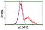 ACOT12 Antibody in Flow Cytometry (Flow)