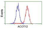 ACOT12 Antibody in Flow Cytometry (Flow)