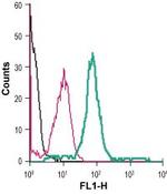 Cannabinoid Receptor 1 (extracellular) Antibody in Flow Cytometry (Flow)