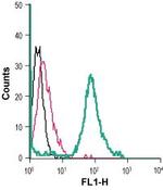 Calcium Sensing Receptor (extracellular) Antibody in Flow Cytometry (Flow)