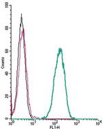 CXCR2 (extracellular) Antibody in Flow Cytometry (Flow)